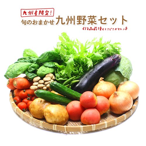 旬のおまかせ 九州 野菜セット