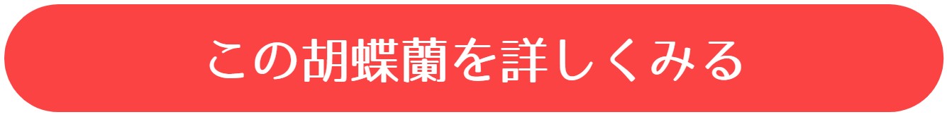 選挙当選祝い 陣中見舞い のし 水引 表書きのマナーと書き方 開業 開店 移転祝いにwebカタログギフト オフィスギフト