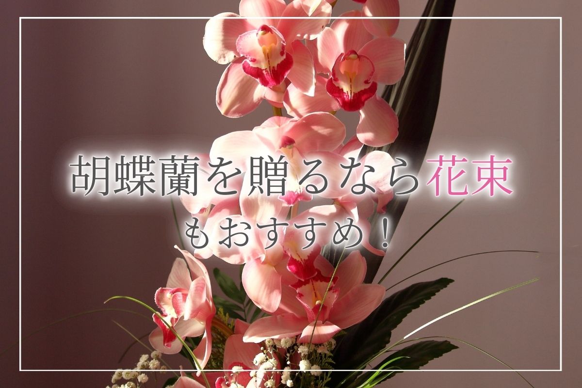 胡蝶蘭を贈るなら花束もおすすめ 贈る際のマナーやおすすめのシーンのほか オーダー注文する際のポイントについて紹介 開業 開店 移転祝いにwebカタログギフト オフィスギフト