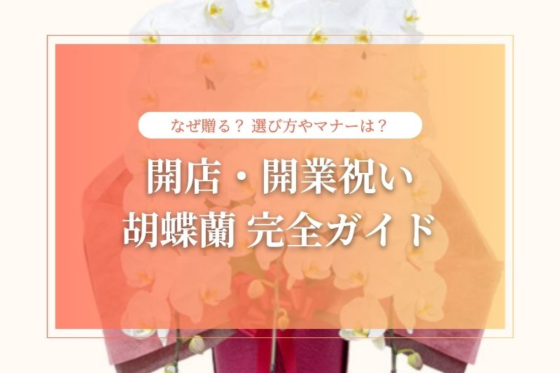 【開店・開業祝い】胡蝶蘭人気ランキング！お祝いのマナーも解説