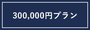 30万円プラン