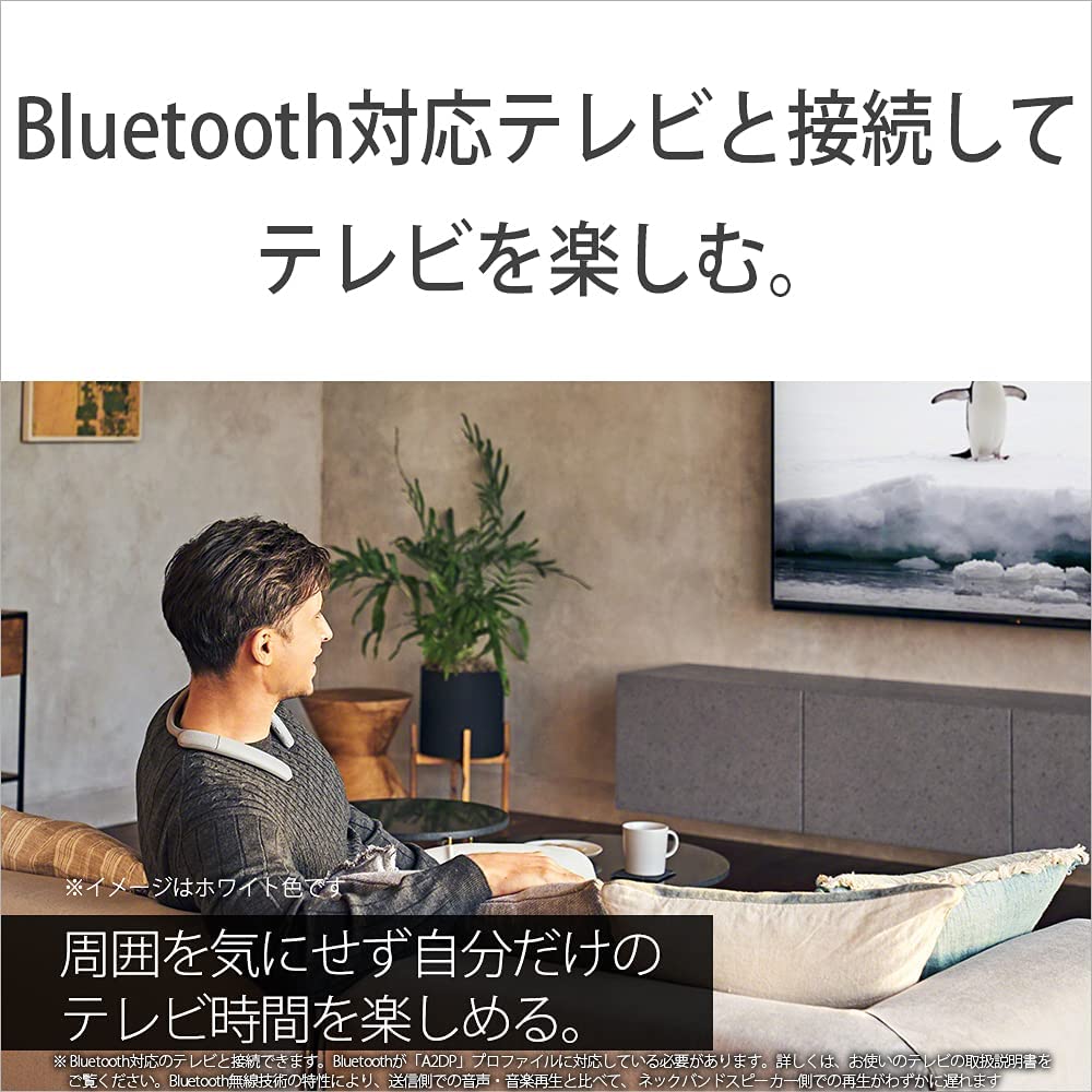 SONY ワイヤレスネックバンドスピーカー WC