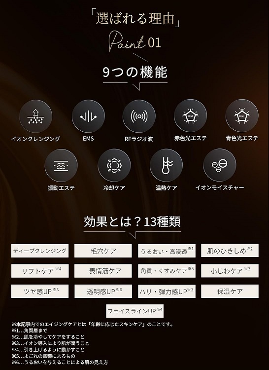 【ANLAN】RF温冷美顔器PRO エイジングケア リフトケア 表情筋ケア