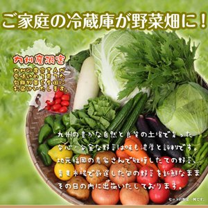 旬のおまかせ 九州 野菜セット