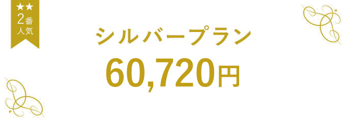 シルバープラン 55,000円プラン