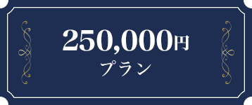 250万円プラン
