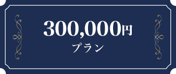 300万円プラン