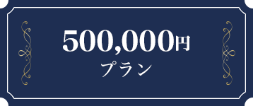 500万円プラン