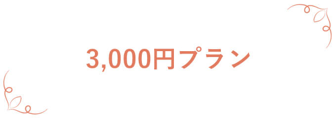 オフィスギフト 3,000円プラン