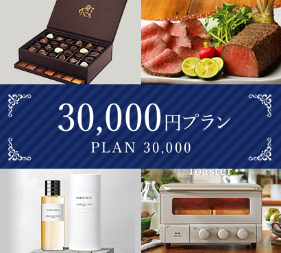 30,000円プラン